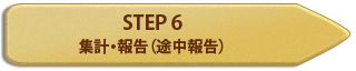 STEP 6 集計・報告（途中報告）