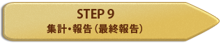 STEP 9 集計・報告（最終報告）